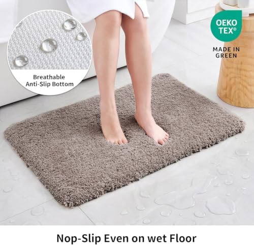 Disolla Taupe Grey Bathroom Rugs 17x24, Non-Slip Plush Small Bath Mat