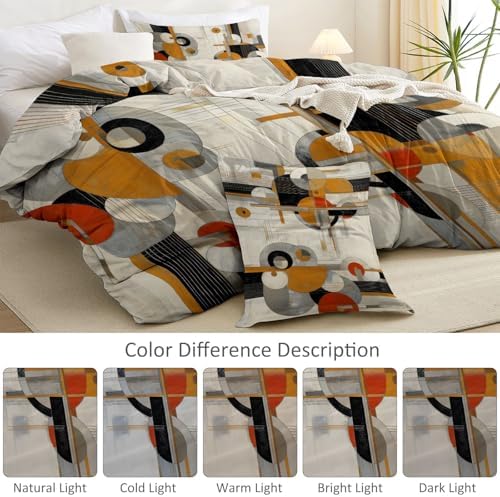 Light Gray Duvet Cover Set Queen Size, Abstract Circle Line Pattern