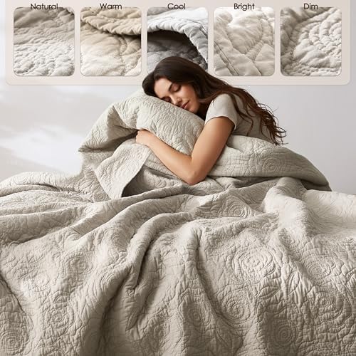 WDCOZY Beige 100% Cotton Quilt Queen Size Bedding Sets with 2 Pillow