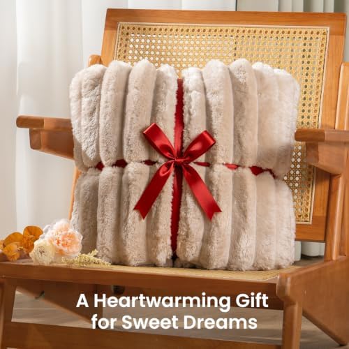 Drewin Weighted Blanket for Adults 60"x80" 15lbs,Soft Throw Blankets