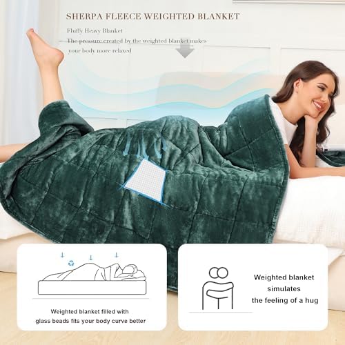 Alomidds Weighted Blanket Queen Size 15lbs 60 x 80 inches,Adult