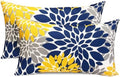 Decorative Throw Pillow Covers Set of 2 Blue Yellow pillow covers