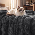 PHF Soft Cozy Fleece Blanket King, 340GSM Lightweight Warmth, Dark