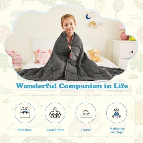 10 lbs Weighted Blanket Twin Full Size, 48" x 72" Cooling Weighted