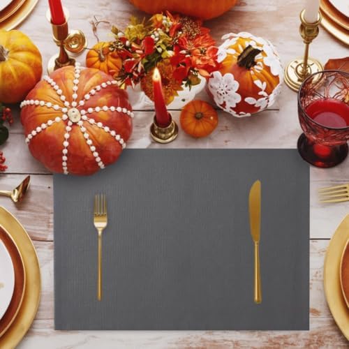 Charcoal Gray Placemats Set of 8, Vintage Minimalist Solid Color Micro