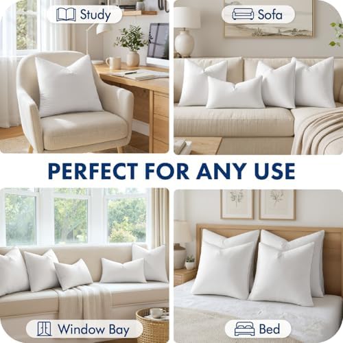 MIULEE 20x20 Inch Pillow Inserts Pack of 2 with Textured Woven Fabric