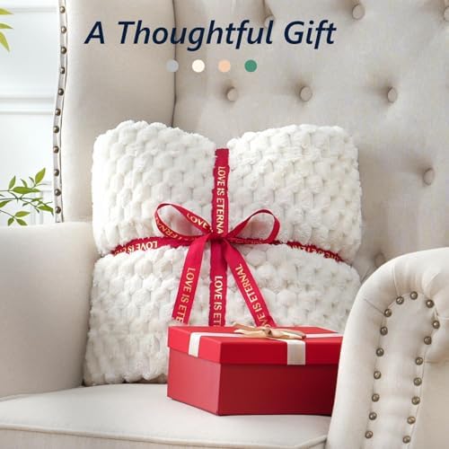 Mr. Sandman Weighted Blankets for Adults, Queen Size 60 x 80 Inches