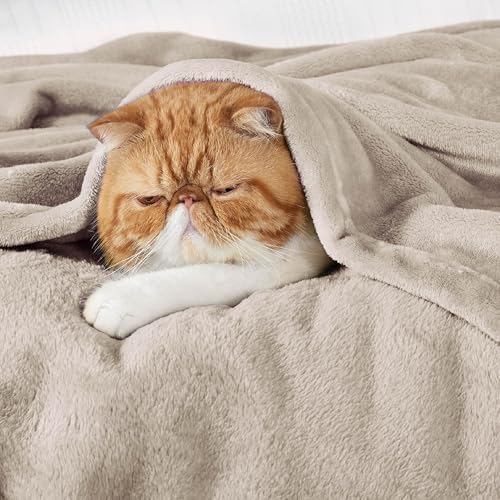 Bedsure GentleSoft Fleece Throw Blanket for Couch Oxford Tan