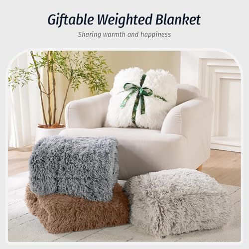 Wemore Weighted Blanket for Adult 60"x80" 15lbs Soft Long Plush Queen