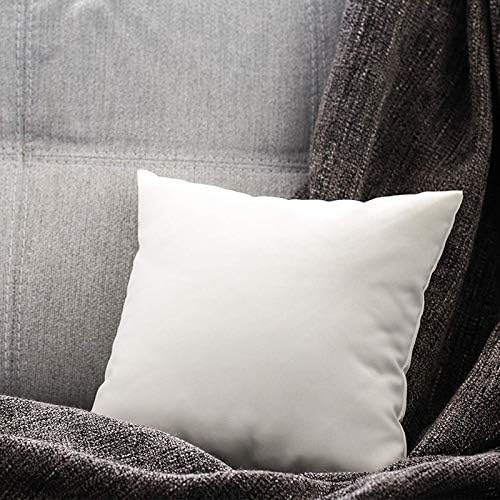 18x18 Pillow Inserts Set Of 2,2025 New Square Soft Cotton Down