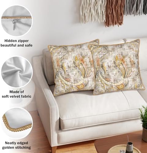 Paisley Floral Velvet Pillow Covers Set of 2 20x20 Inch Vintage White