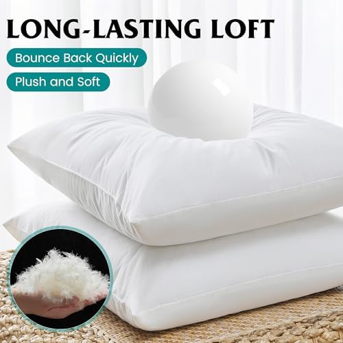 Oubonun 20 x 20 Down Feather Throw Pillow Inserts