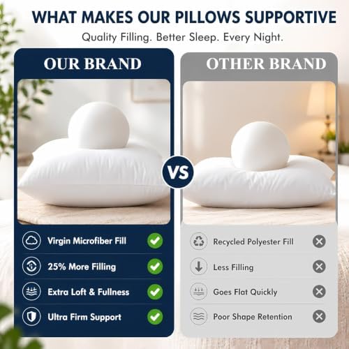 Ridhi White Throw Pillow Inserts, 20x20 Inch, Pack of 4, Down
