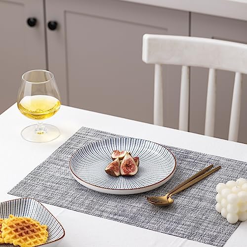 LEXMORE PlaceMats Set of 12 Vinyl/Plastic Woven Place Mats for Kitchen