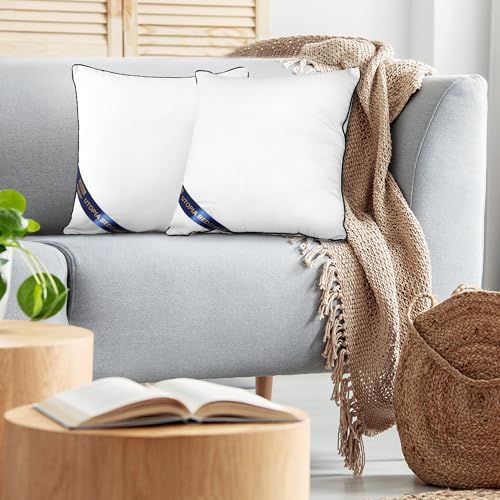 Decorative Throw Pillow Inserts 20x20, Kids Throw Pillows, 2-Pack