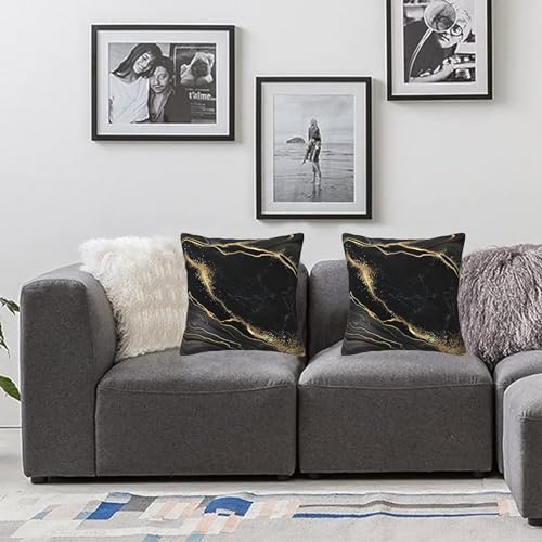 Marble Gold and Black Pillow Covers 20x20 in Sets of 2 Couch Pillow