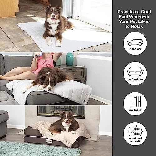 PetFusion Premium Cat and Dog Cooling Blanket, Lightweight Pet Blanket