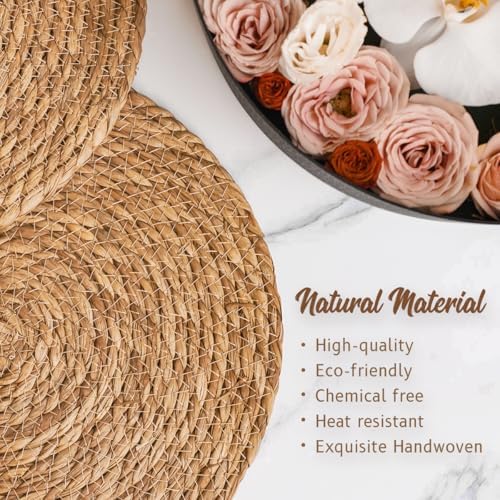 BAVIFY 12" Round Woven Placemats Set of 10, Plate Chargers for Dining