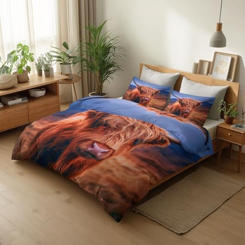 Duvet Cover Queen Size, Reversible King Duvet Cover Set with