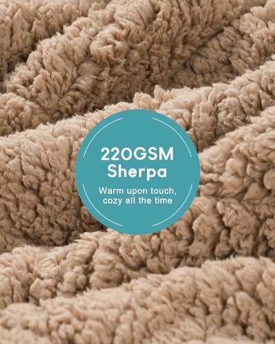 Cottonblue Weighted Blanket for Adults 15 lbs Queen Size 60x80in Ultra