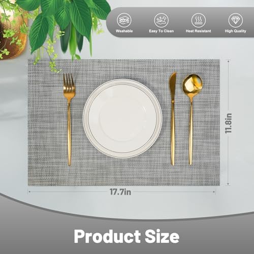 Placemats Set of 12, Gray