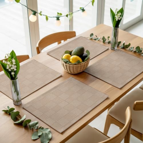 Minimalist Gingham Placemats Set of 8, Non Slip Washable Farmhouse