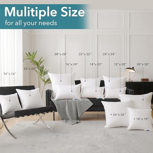 Oubonun 18"x18" Pillow Inserts (Set of 2) - Throw Pillow Inserts with