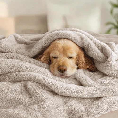 Exclusivo Mezcla Fuzzy Plush Fleece Bed Blanket King Size, Camel