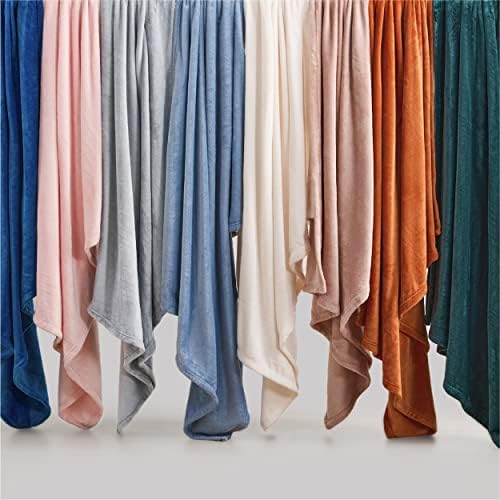 Bedsure GentleSoft Fleece Blankets Queen Size Light Grey - Bed Blanket