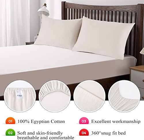 2-Pack Pure Cotton Twin Size Fitted Sheet, 600 Thread Count, Light