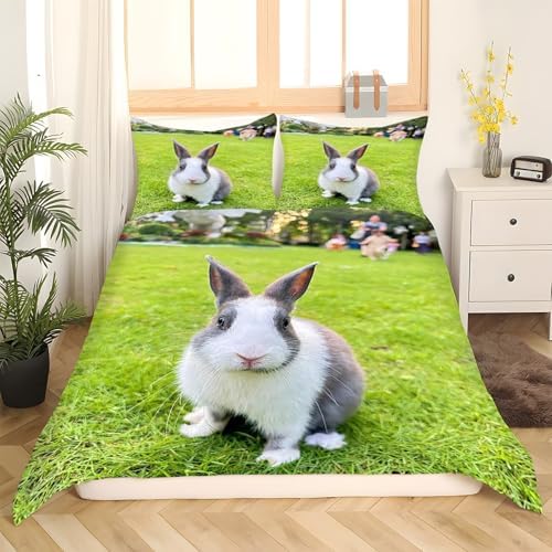 Rabbit Duvet Cover Set Gray/WhiteBedding 3D Printed - 100% Microfiber