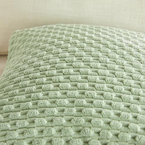 Fancy Homi 2 Packs Sage Green Decorative Throw Pillow Covers 20x20