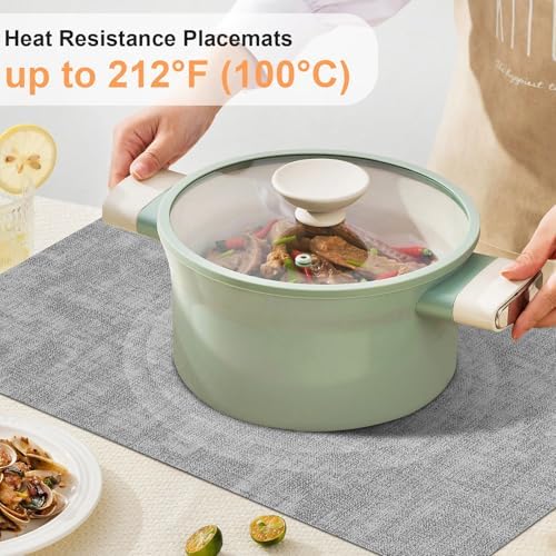 Faux Leather Placemats Set of 6 (Light Grey)