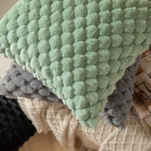 MANDIOO Pack of 2 Black Super Soft Plush Fluffy Decorative Throw