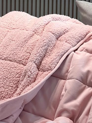 Sherpa Weighted Blanket for All Season,Both Sides Pink 10Lbs