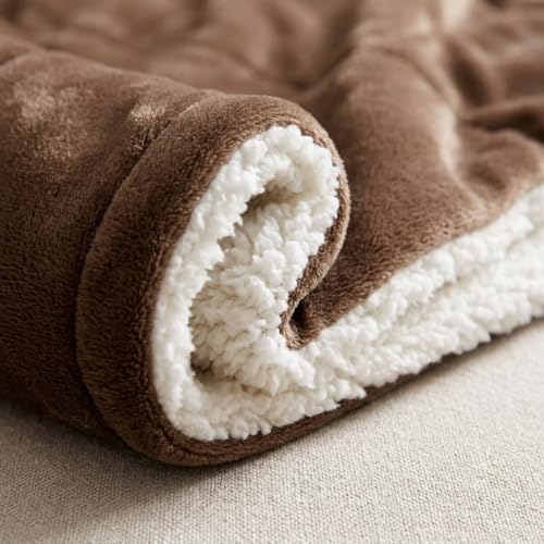 Thick Warm Light Grey Sherpa Blanket, 60"x80", Super Soft Fuzzy