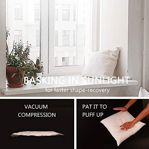 EDOW Throw Pillow Insert, Set of 2 Down Alternative Polyester Square