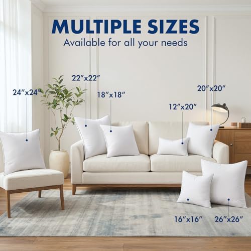 MIULEE 20x20 Inch Pillow Inserts Pack of 2 with Textured Woven Fabric