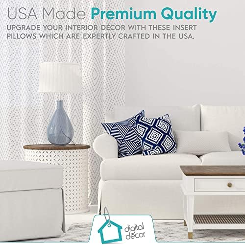 Digital Decor Decorative Throw Pillow Inserts 20x20 Set of 2, Soft