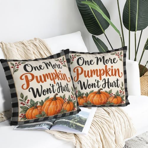 House Plaid Pillow Covers 22x22 Inch Set of 2 Linen for Farmhouse