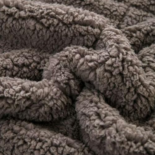 Sherpa 10lb Weighted Blanket for Adult, Both Sides Reversible Velvet