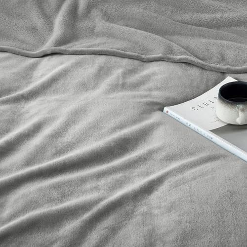 Fleece Throw Blanket Couch Travel 50x60 Silver Grey