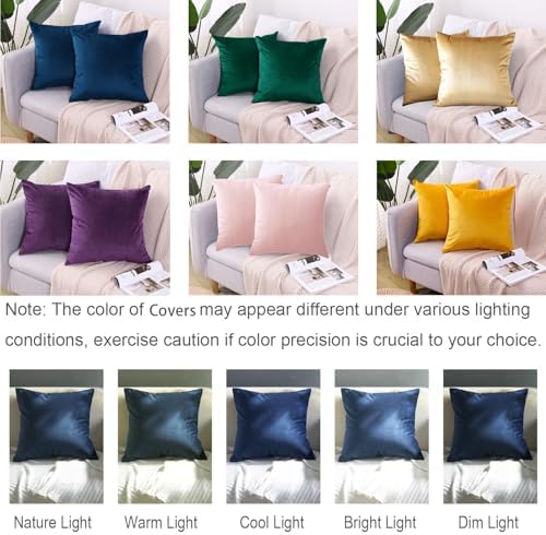 Hibate 2 Pack Soft Velvet Couch Throw Pillow Covers 20x20 Inch for
