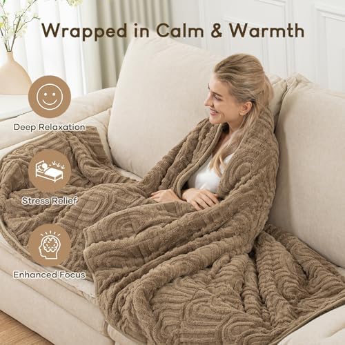 Cottonblue Weighted Blanket for Adults 15lbs Queen Size 60"x80" Soft