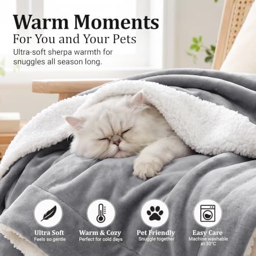 IR Imperial Rooms Twin Sherpa Blanket 60x80 Guest Bedroom Silver Grey