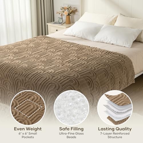 Cottonblue Weighted Blanket for Adults 15lbs Queen Size 60"x80" Soft