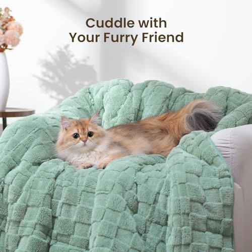 Drewin 15lbs Weighted Blanket Queen Size for Adults,Sage Green,60" x