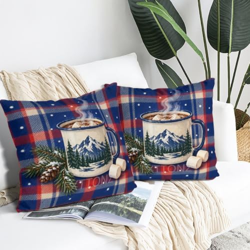 Plaid Accent Pillow Covers 22x22 Inch Set of 2 Linen for Kitchen