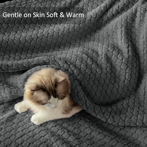 Exclusivo Mezcla Soft Fleece Queen Size Blanket for Bed, Dark Grey
