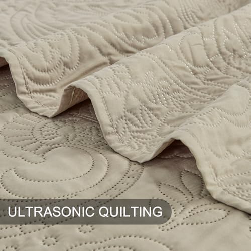 BOURINA Ultrasonic Beige Queen Quilt Set 3-Piece Bedding Set Bedspread